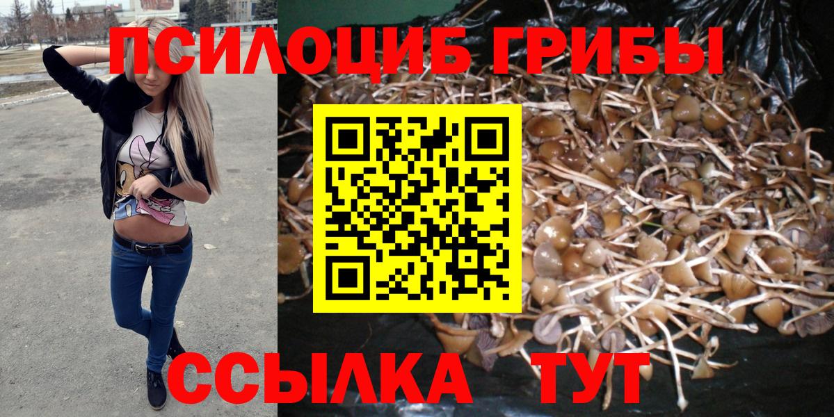 Псилоцибиновые грибы GOLDEN TEACHER  Вход с VPN  Елабуга  Псилоцибиновые грибы Psilocybine cubensis 