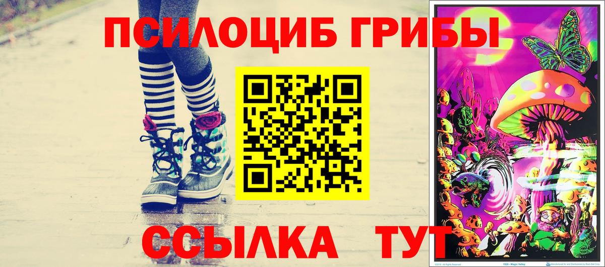 Галлюциногенные грибы прущие грибы Елабуга